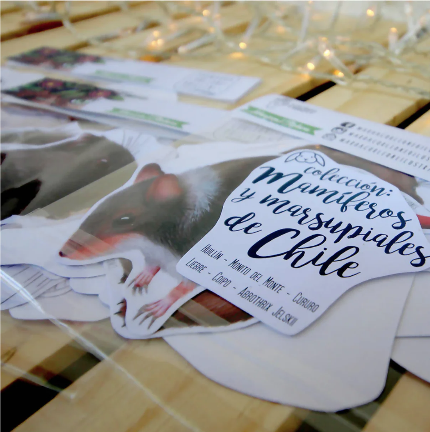 Set de Stickers Grandes Laminados en Frio 5