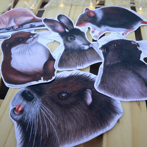 Set de Stickers Grandes Laminados en Frio