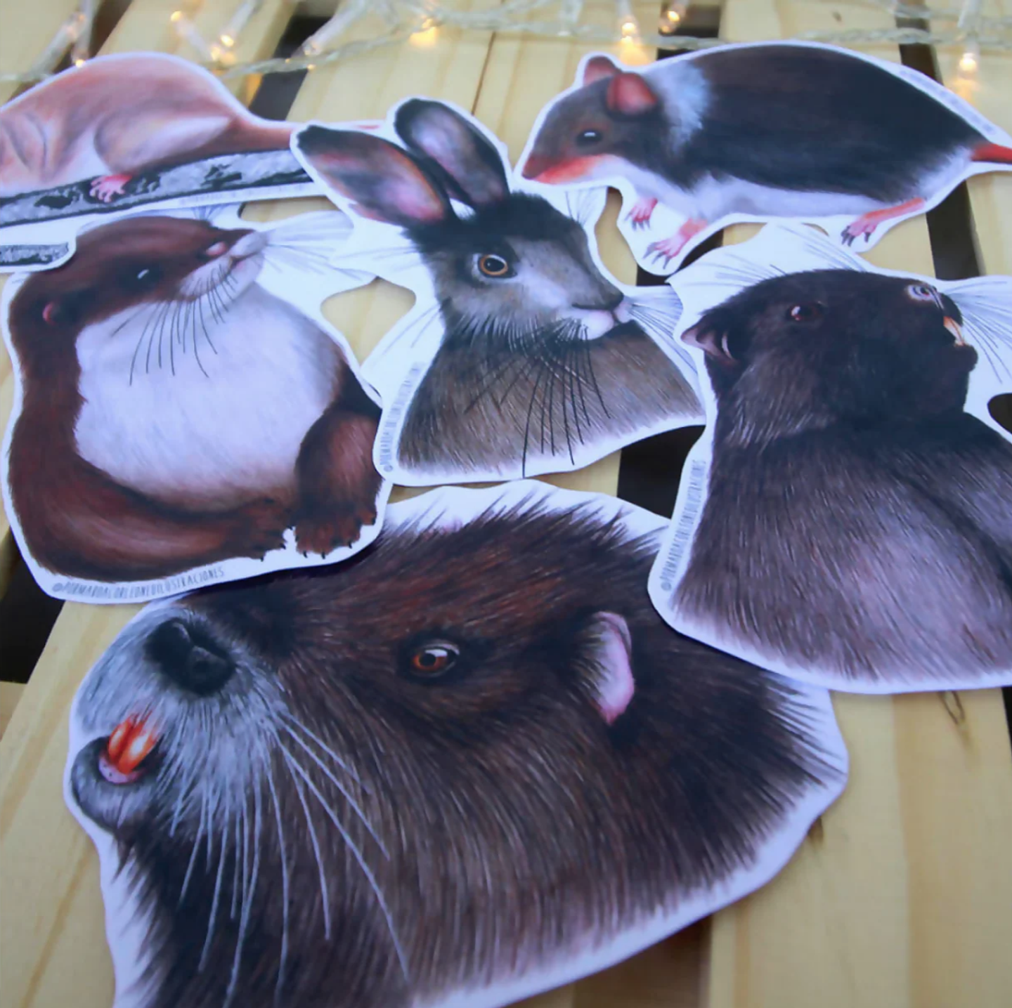 Set de Stickers Grandes Laminados en Frio 1