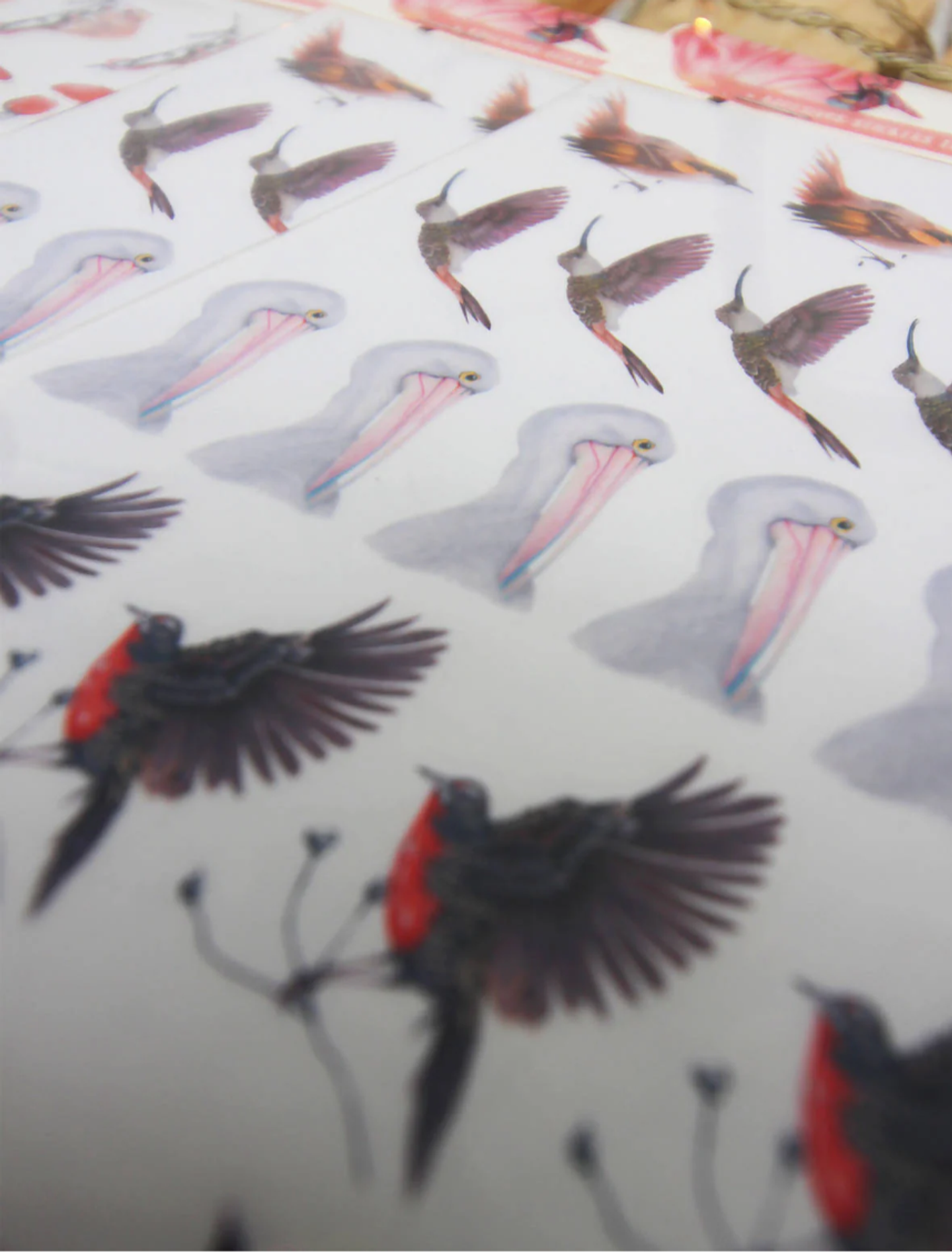 Stickers Translúcidos Troquelados 1