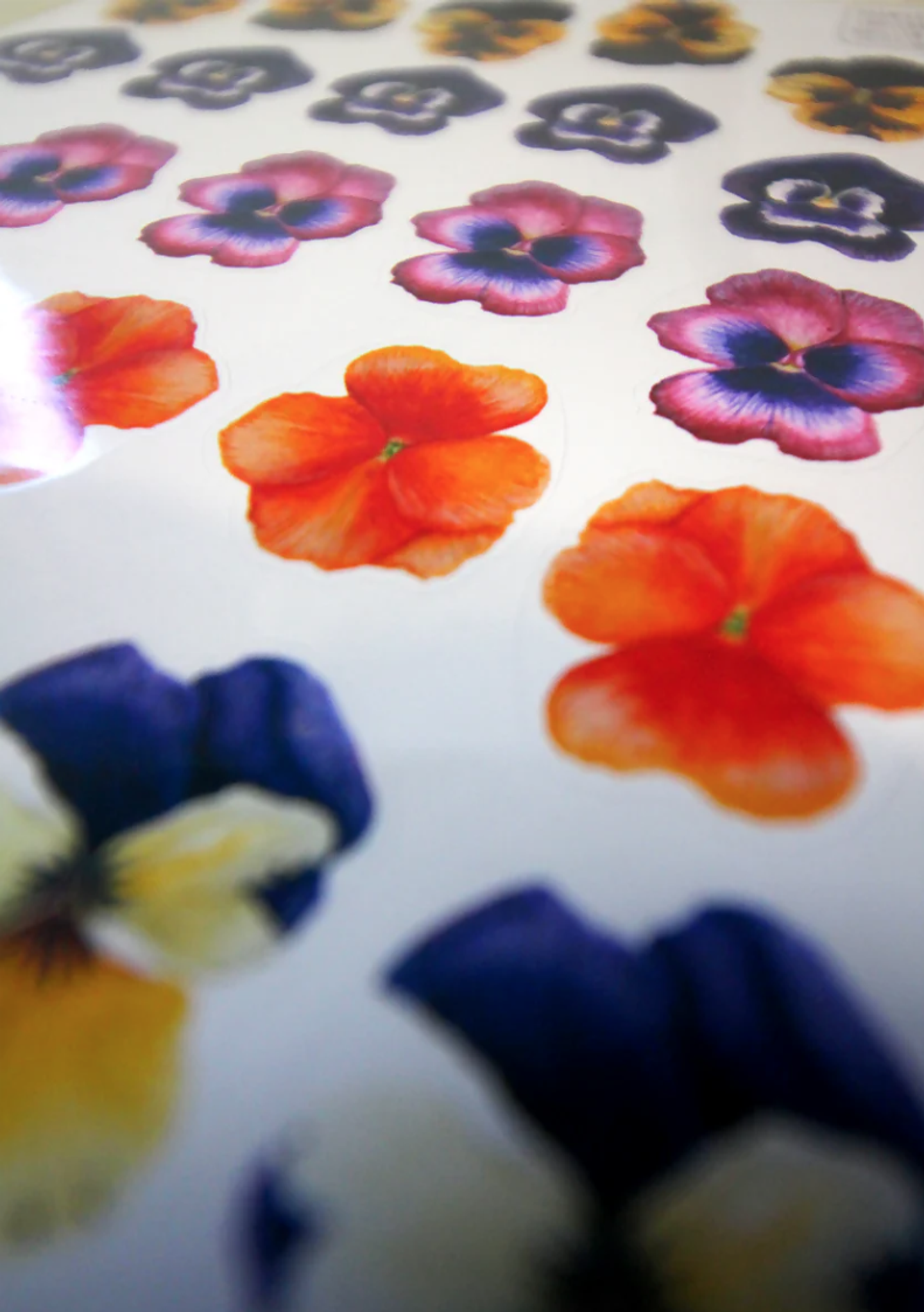 Set de Stickers Troquelados (4 hojas) 12