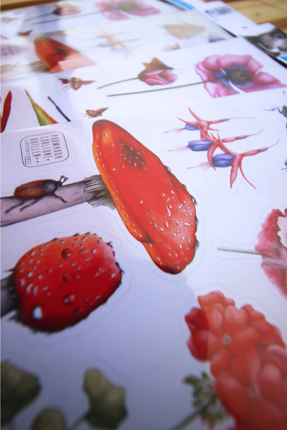 Set de Stickers Troquelados (4 hojas) 4