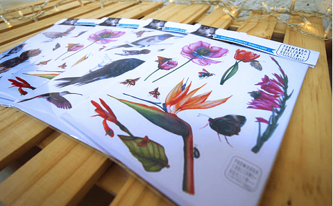 Set de Stickers Troquelados (4 hojas)