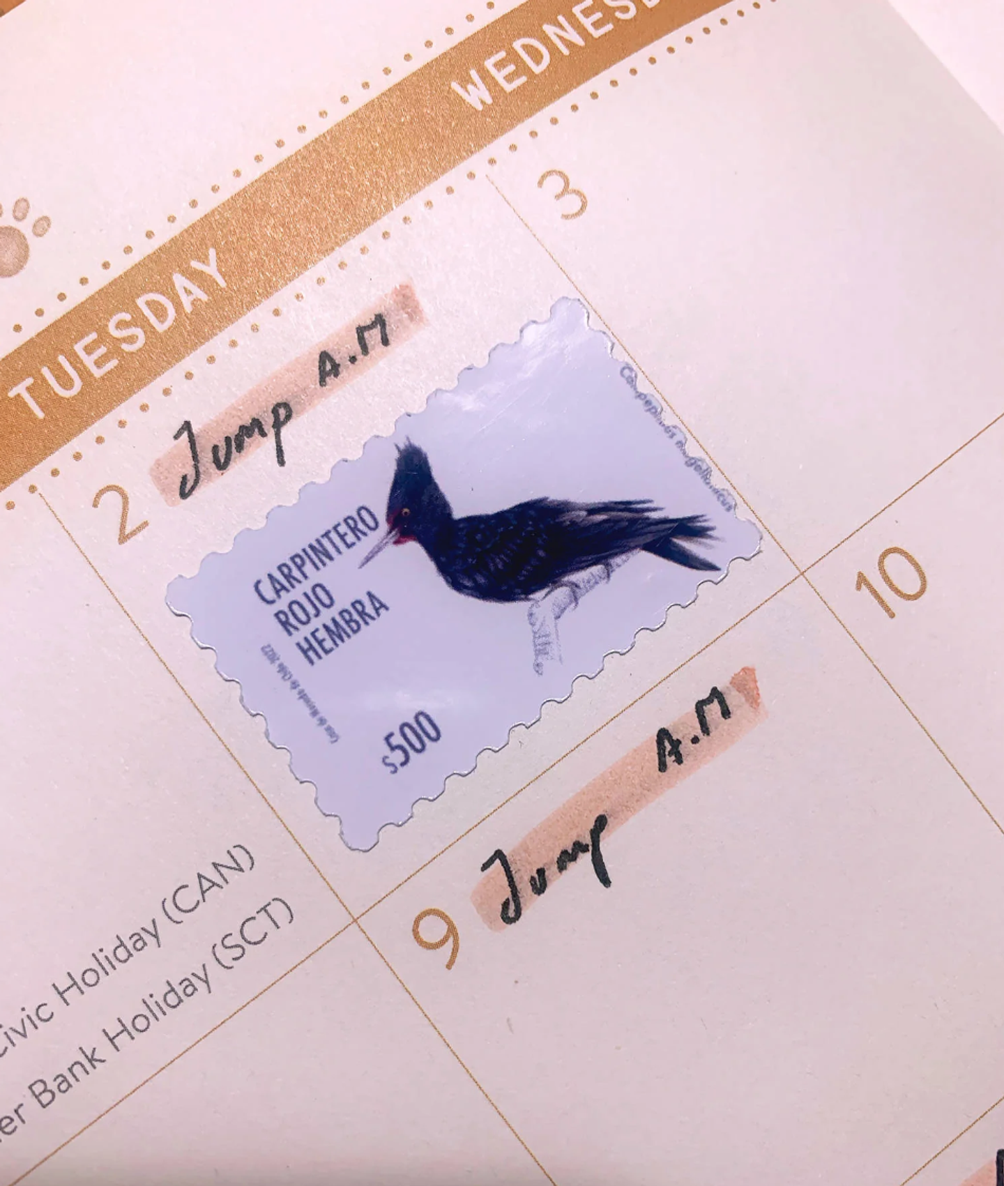 Set de Stickers troquelados tipo estampillas retro (4 hojas) 5