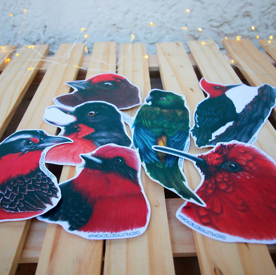 Set de Stickers Grandes Laminados Aves de Chile 1