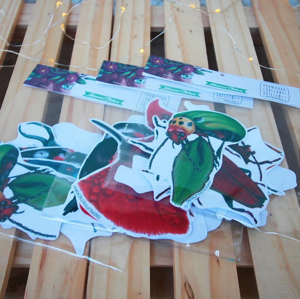 Set de Stickers Grandes Laminados Aves de Chile 5