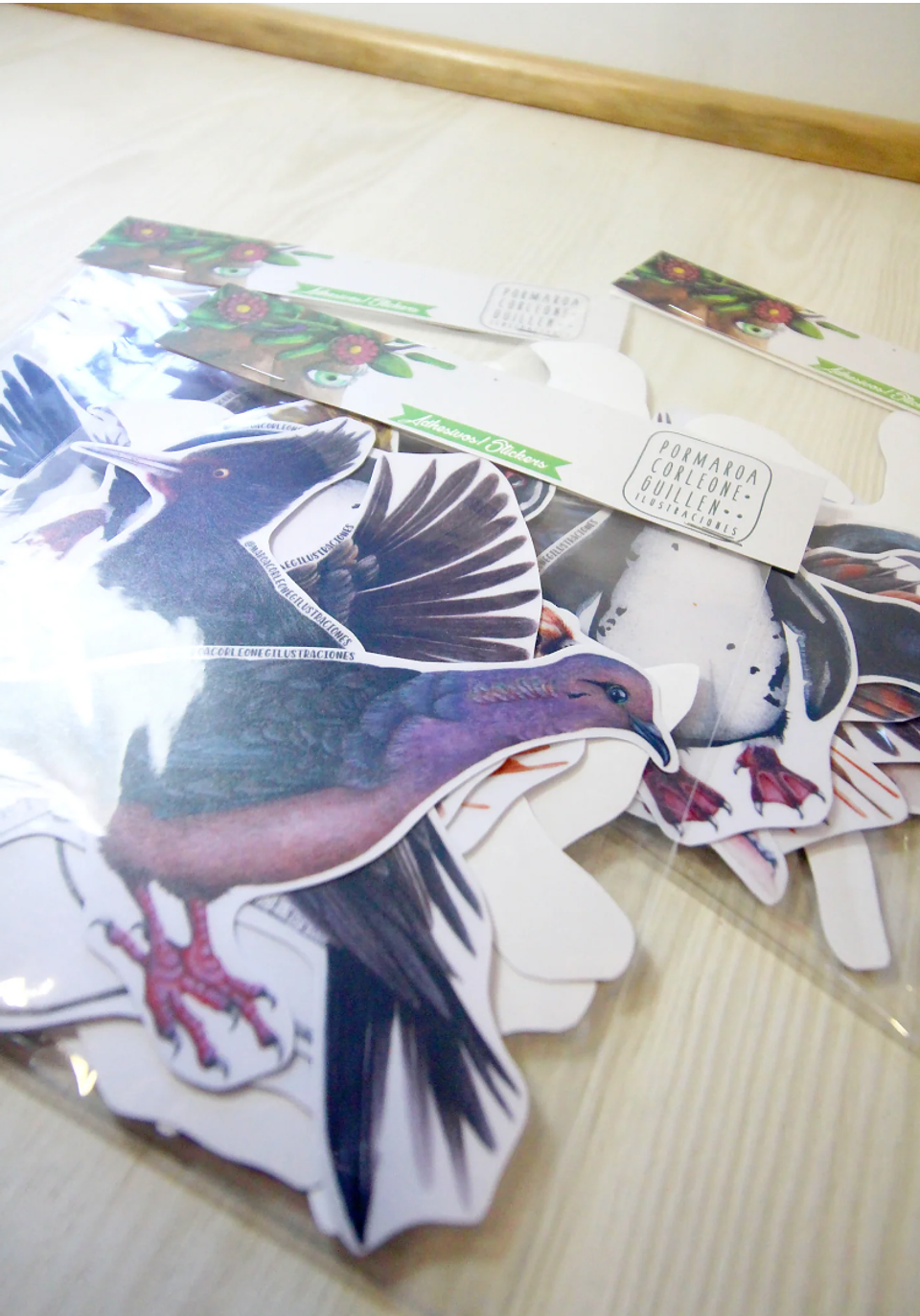 Set de Stickers Grandes Laminados Aves de Chile 14