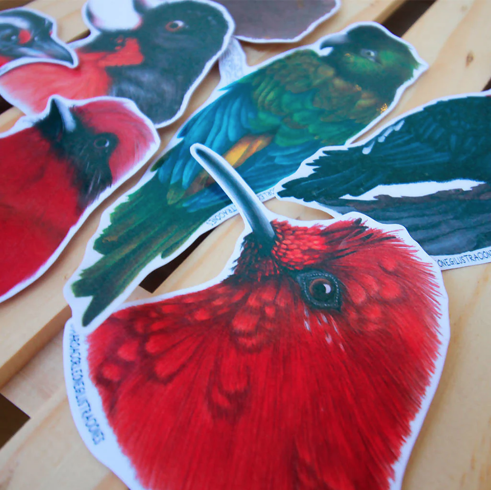 Set de Stickers Grandes Laminados Aves de Chile 2