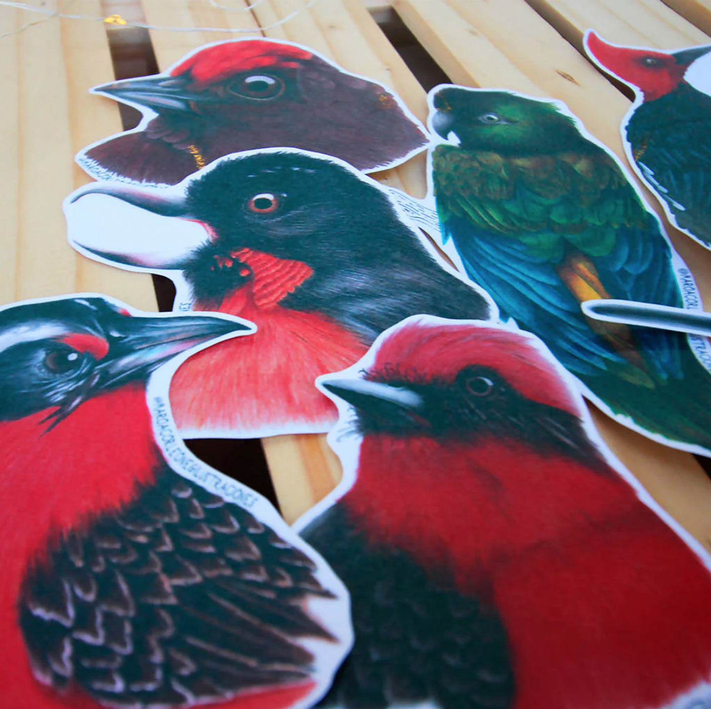 Set de Stickers Grandes Laminados Aves de Chile 3