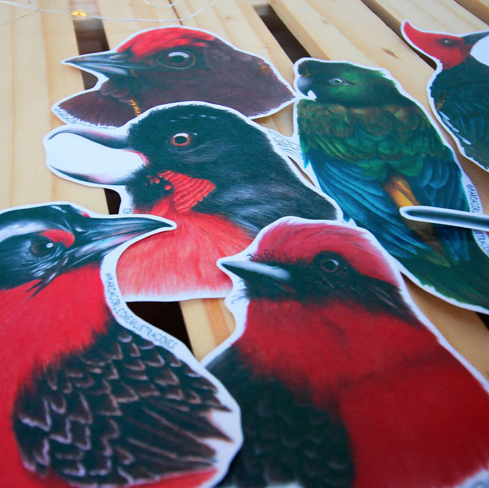 Set de Stickers Grandes Laminados Aves de Chile 3