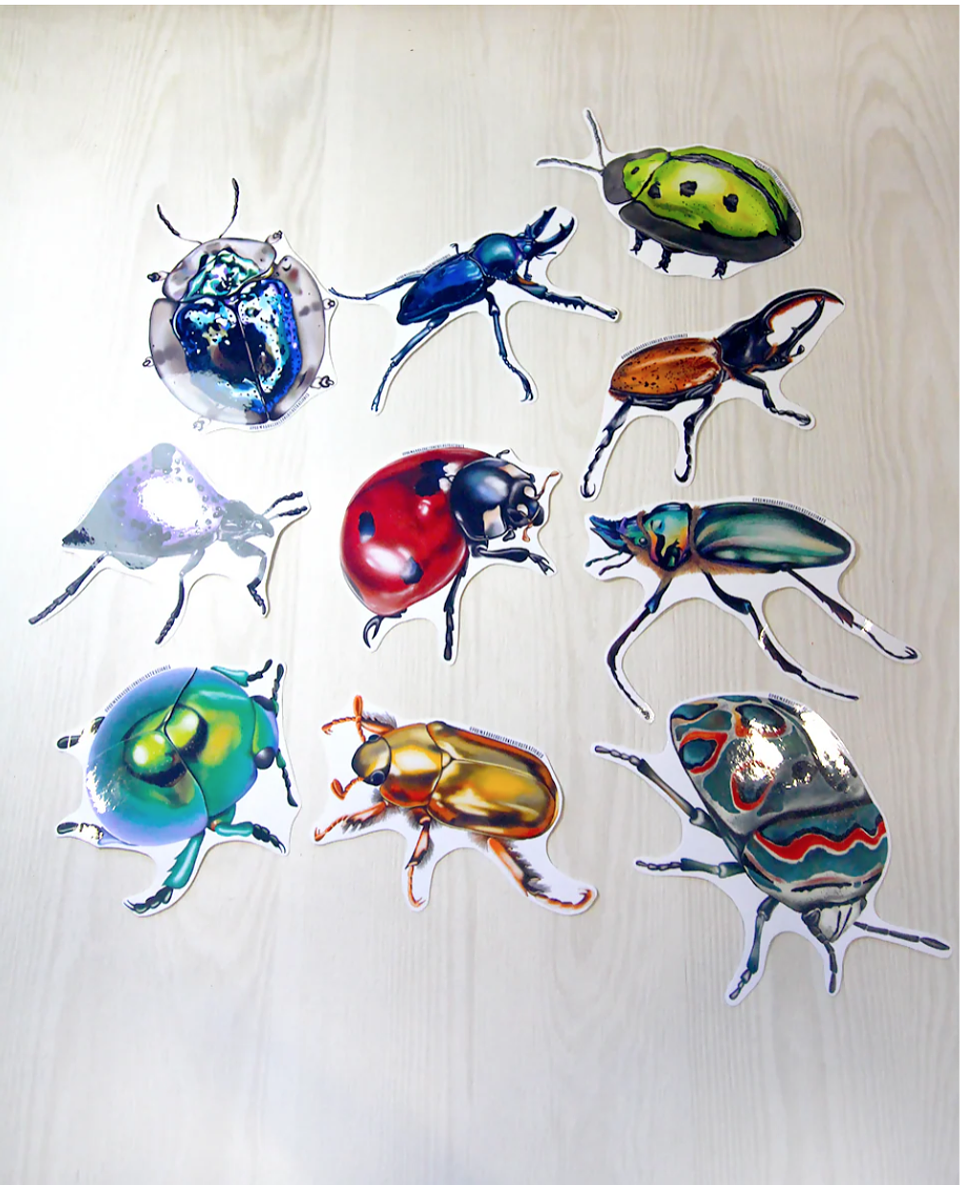 Set de Stickers Grandes Laminados Coleópteros 7