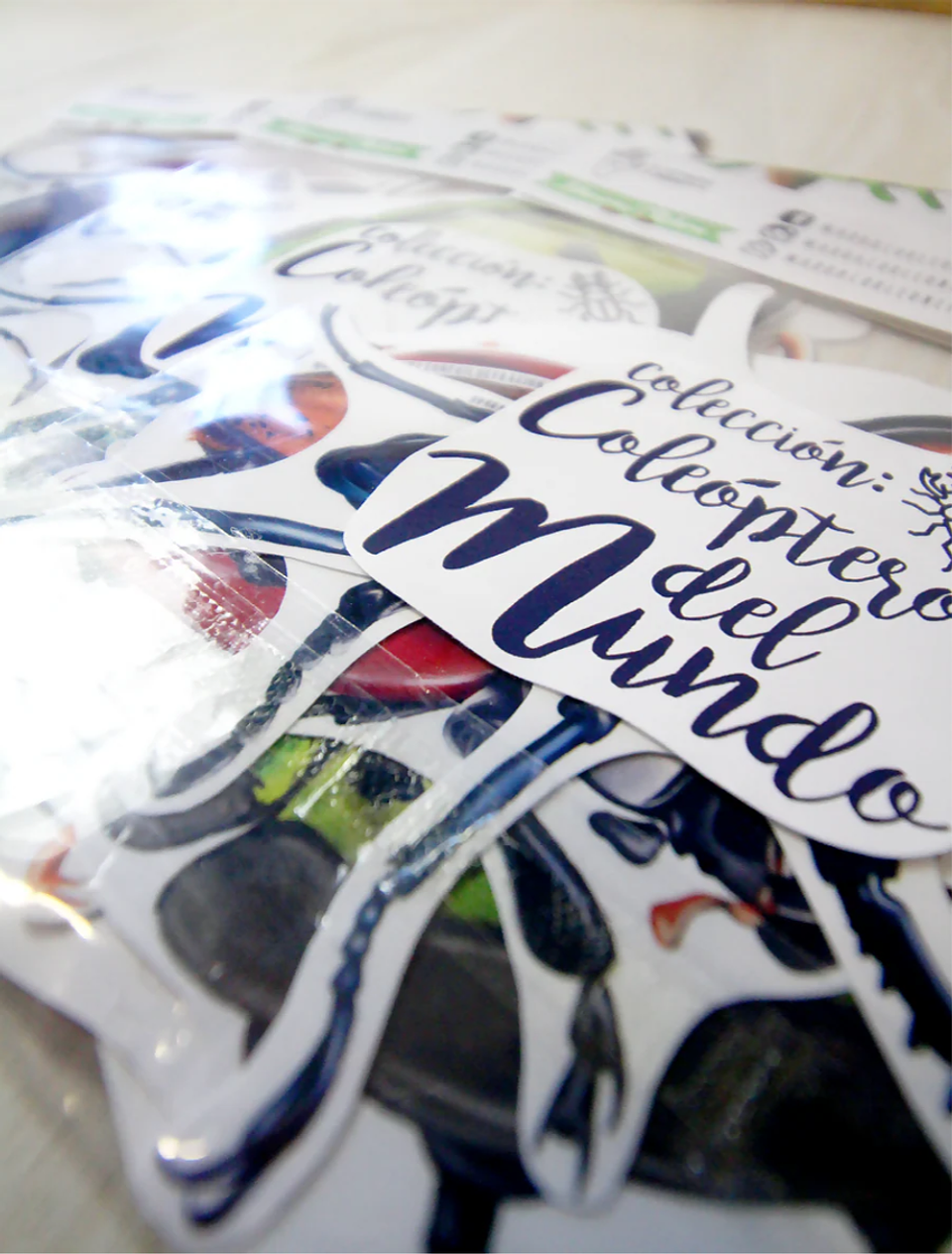 Set de Stickers Grandes Laminados Coleópteros 9