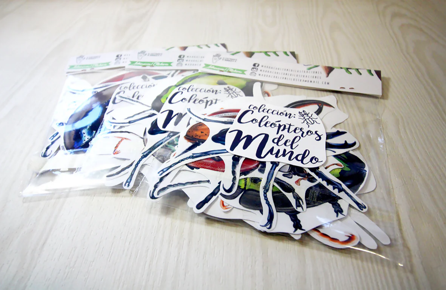 Set de Stickers Grandes Laminados Coleópteros 11