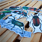 Set de Stickers Grandes Laminados Coleópteros - Miniatura 2