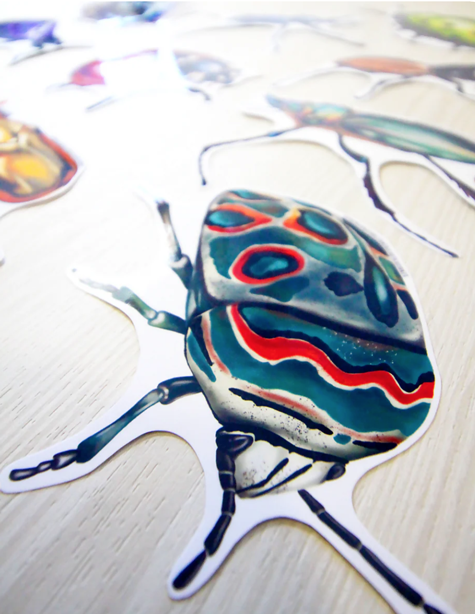 Set de Stickers Grandes Laminados Coleópteros 12