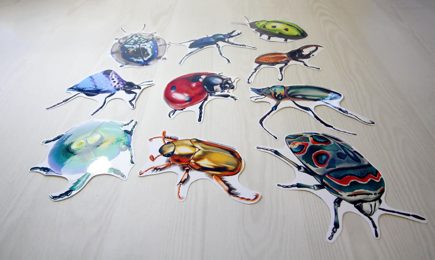 Set de Stickers Grandes Laminados Coleópteros 13