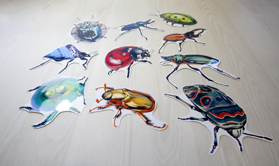 Set de Stickers Grandes Laminados Coleópteros 13