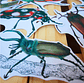 Set de Stickers Grandes Laminados Coleópteros - Miniatura 5