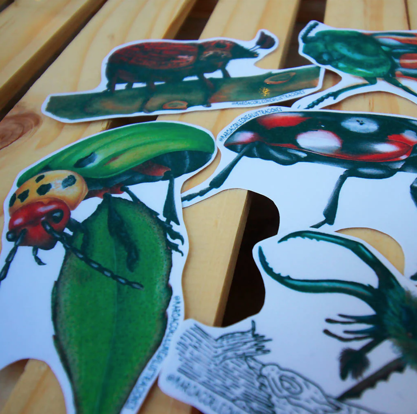 Set de Stickers Grandes Laminados Coleópteros 6