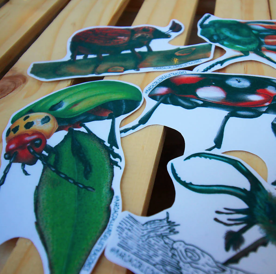 Set de Stickers Grandes Laminados Coleópteros 6