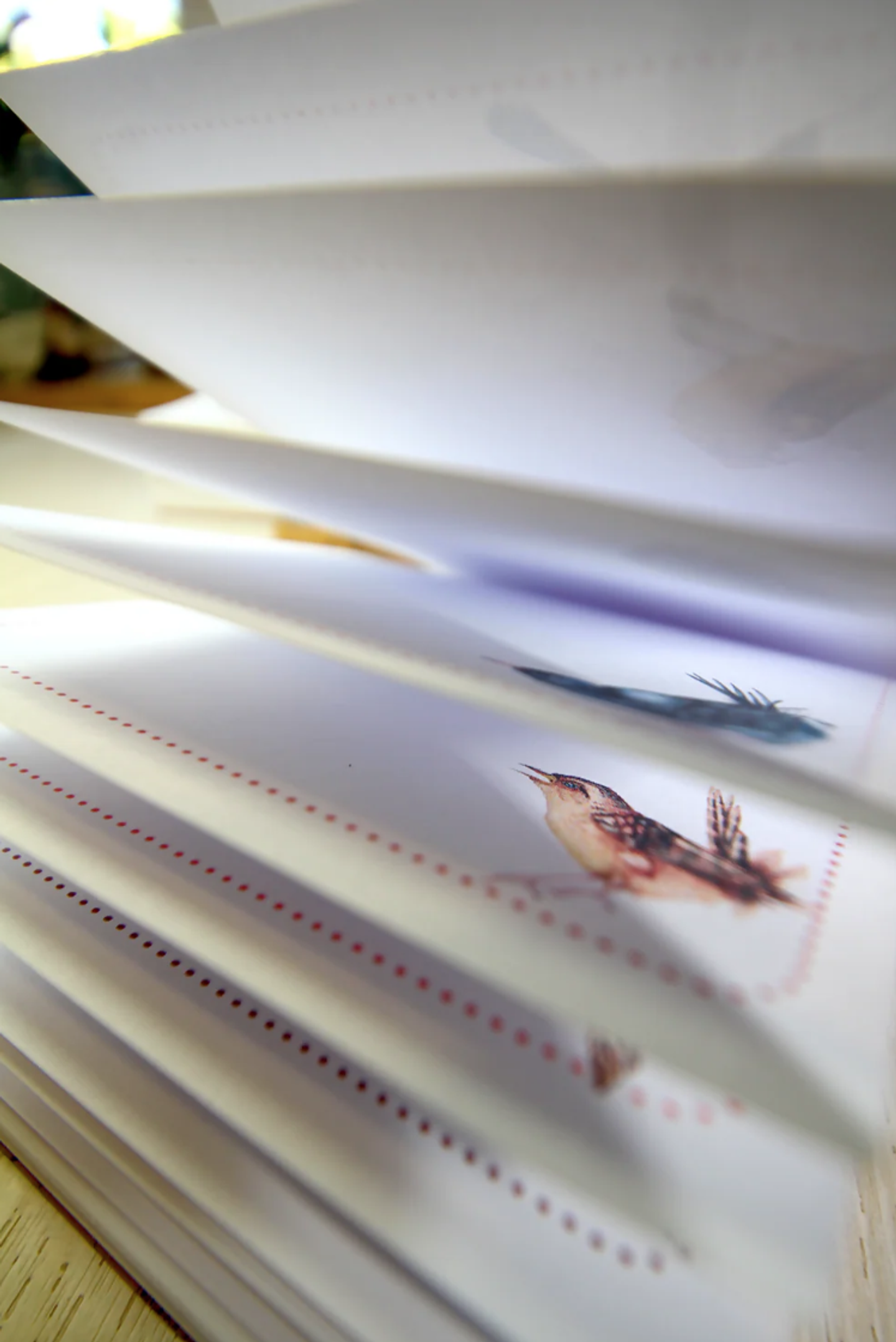 Tacos de Notas Grandes A6 8