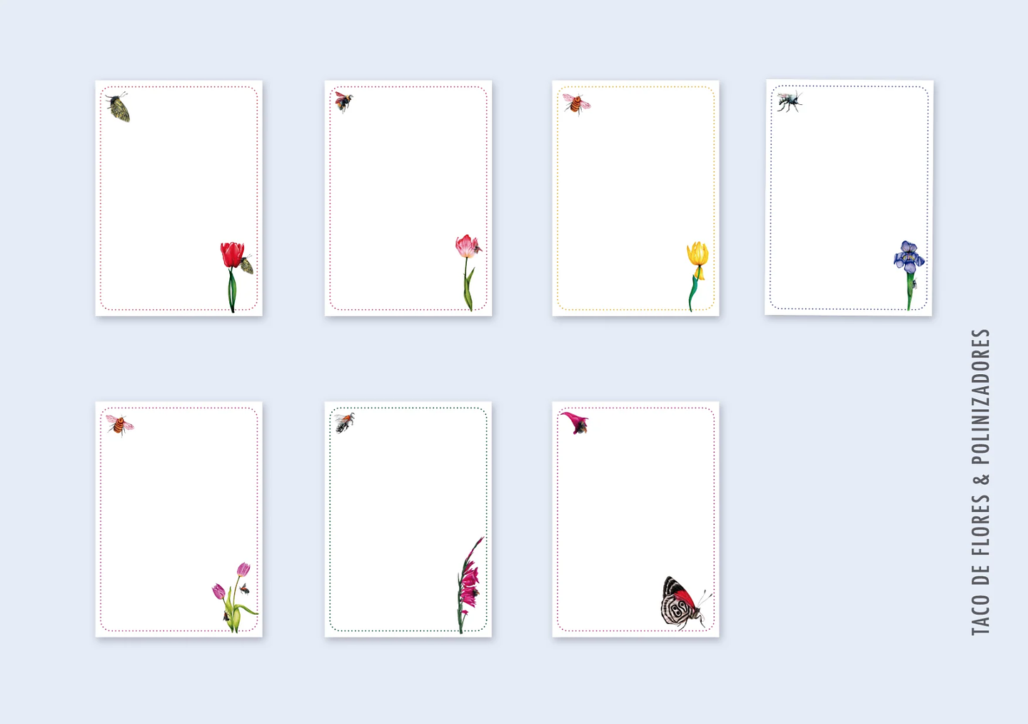 Tacos de Notas Grandes A6 11