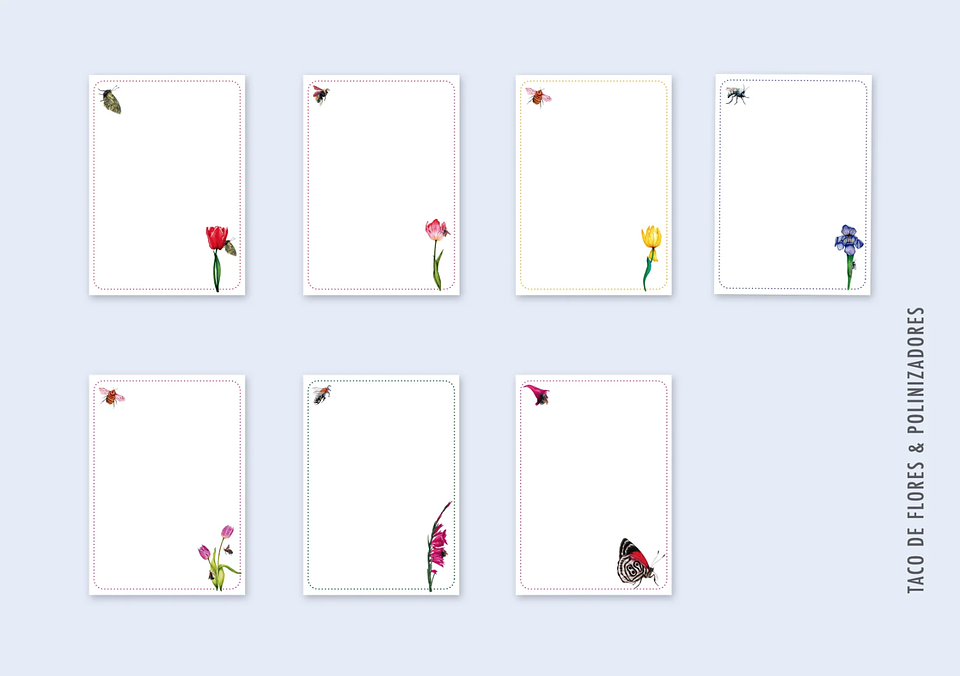 Tacos de Notas Grandes A6 11