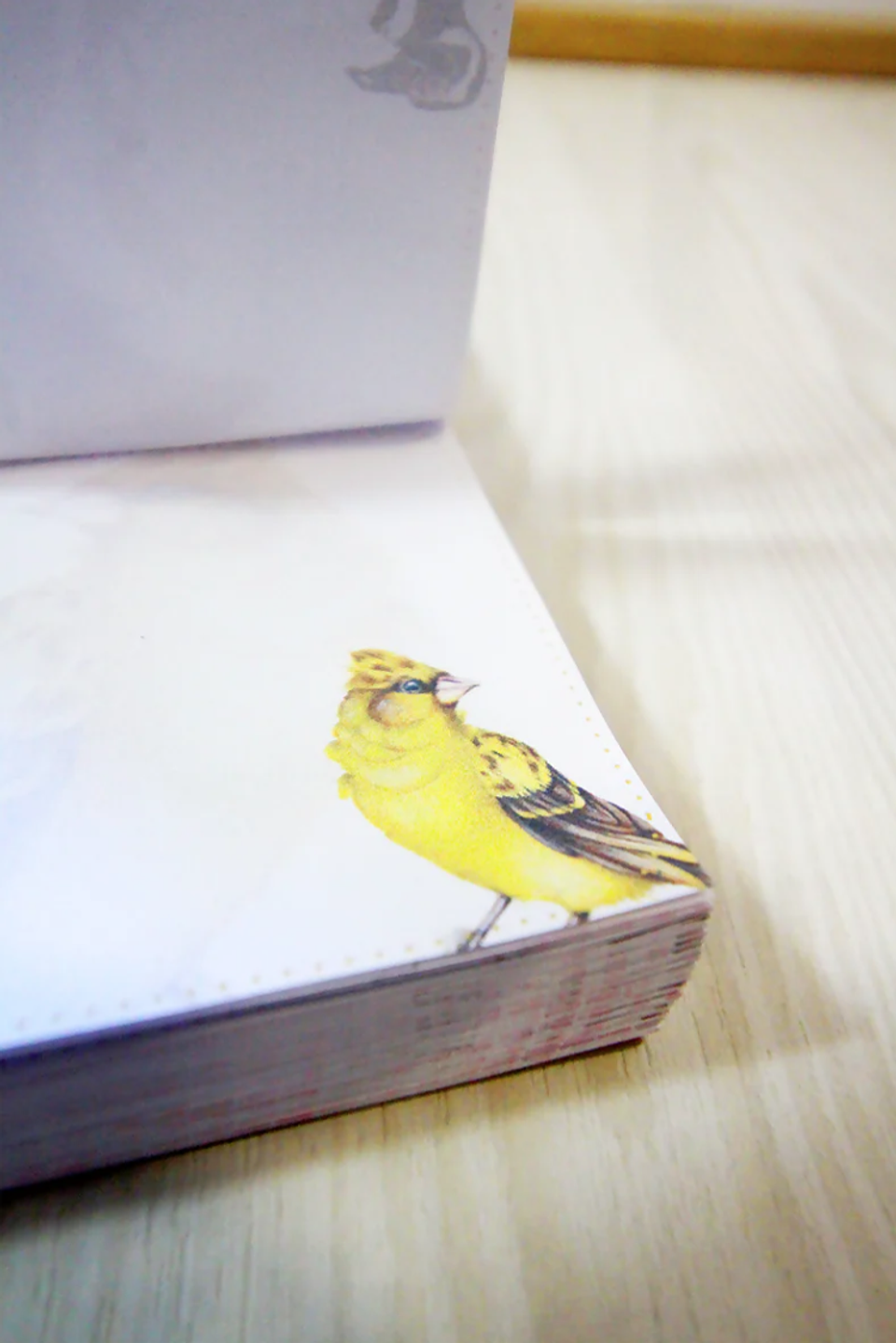 Taco de Notas pequeño  4