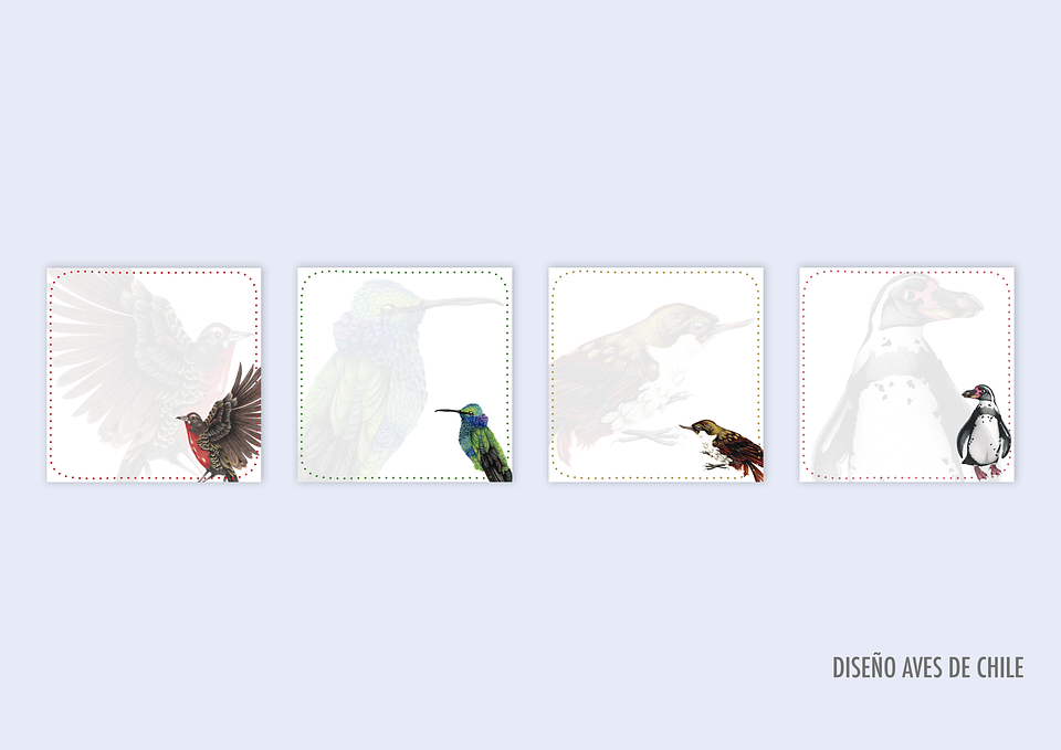 Taco de Notas pequeño  16