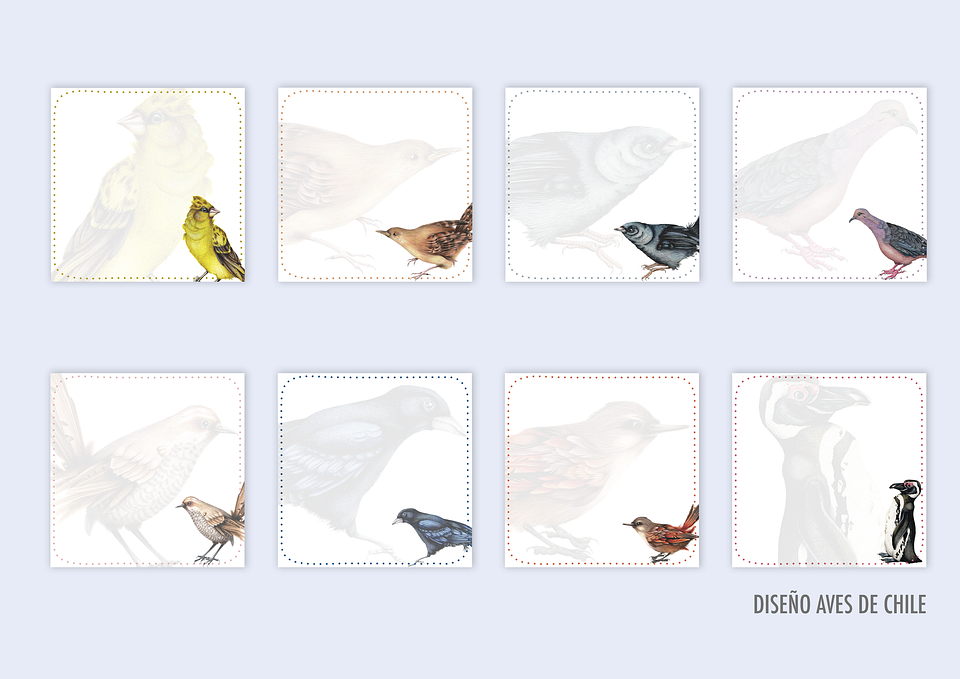 Taco de Notas pequeño  15