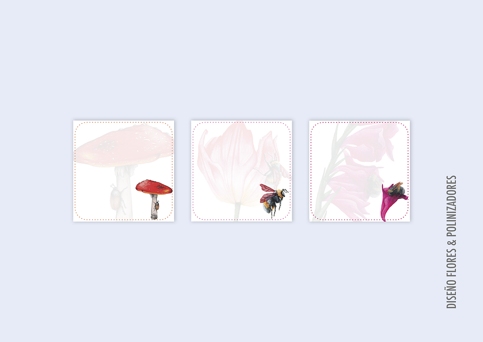 Taco de Notas pequeño  18