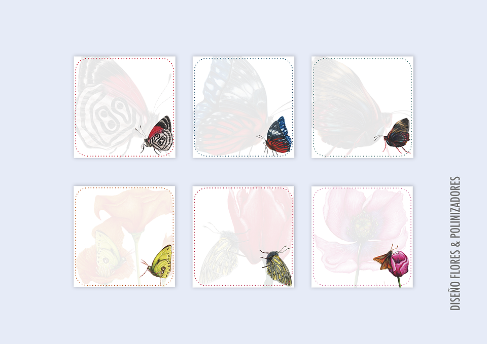 Taco de Notas pequeño  17