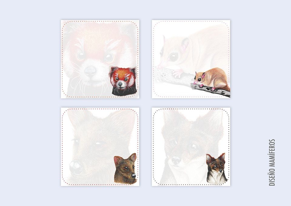 Taco de Notas pequeño  19