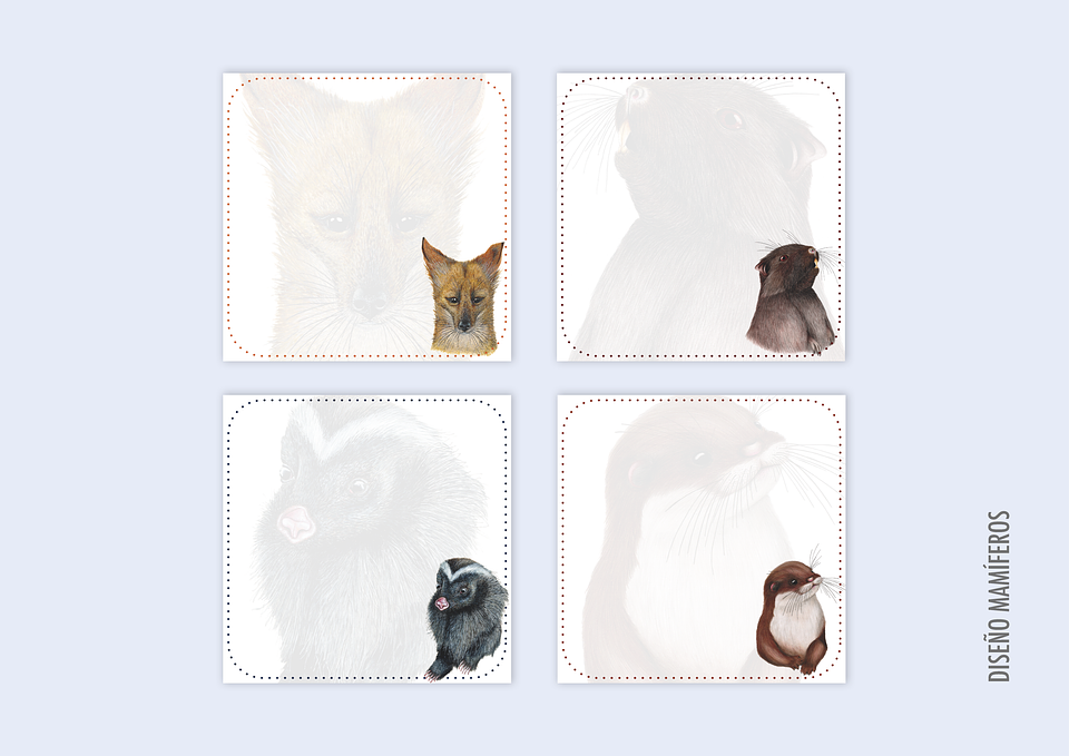 Taco de Notas pequeño  20