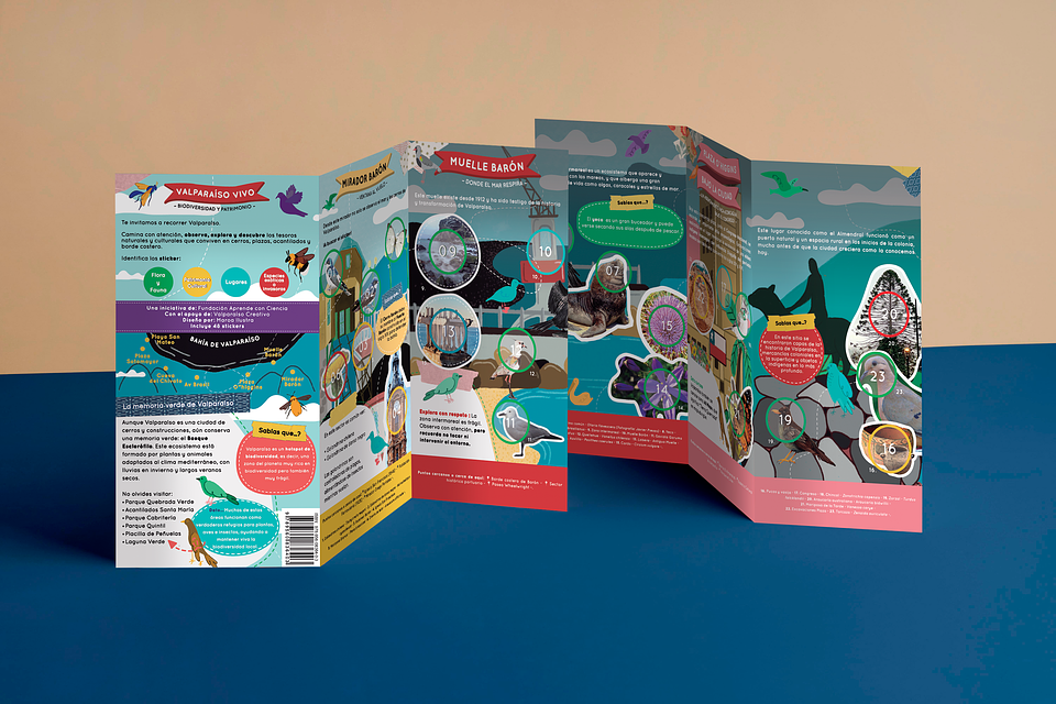 Bitácora Valparaíso Vivo: Biodiversidad y Patrimonio 1