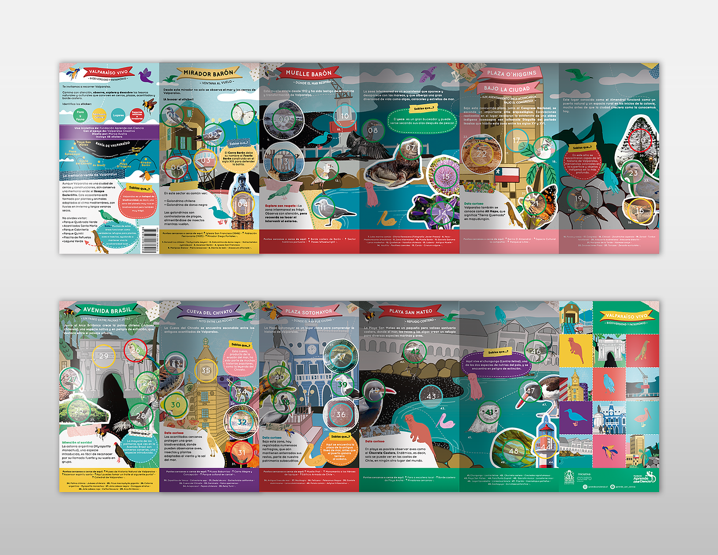 Bitácora Valparaíso Vivo: Biodiversidad y Patrimonio 3