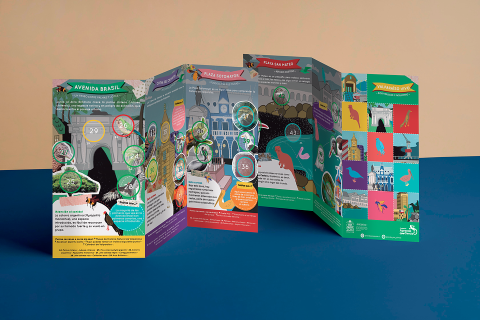 Bitácora Valparaíso Vivo: Biodiversidad y Patrimonio 2