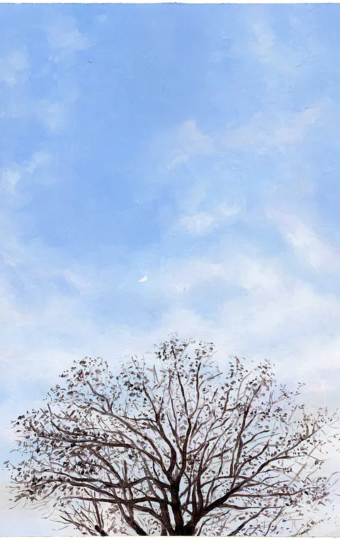 Árbol