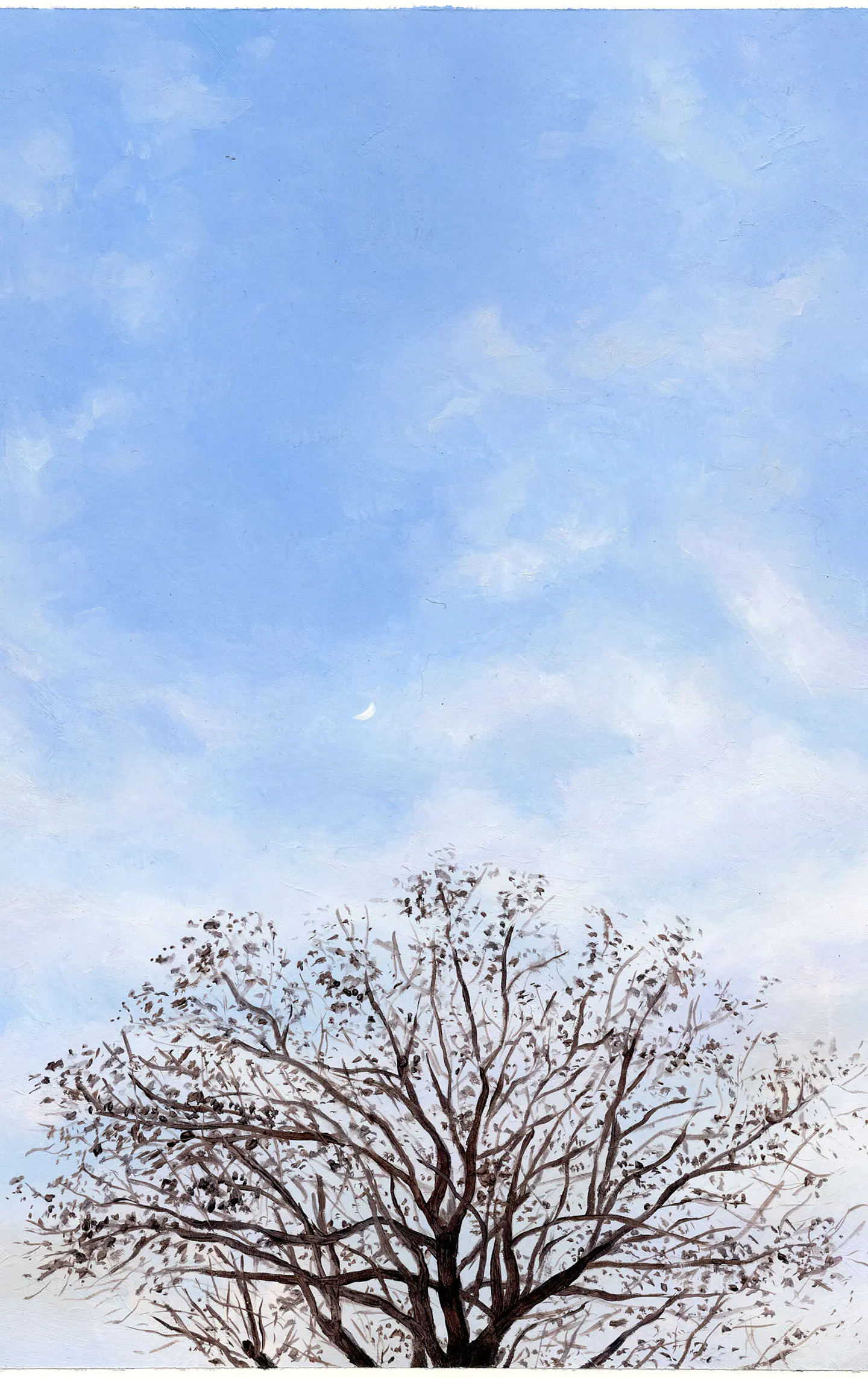 Árbol 1