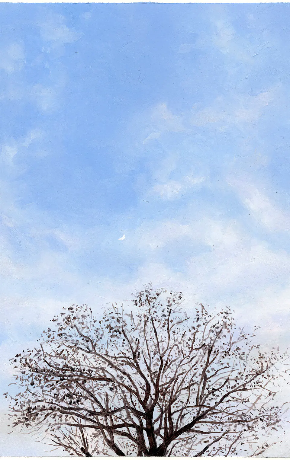Árbol 1