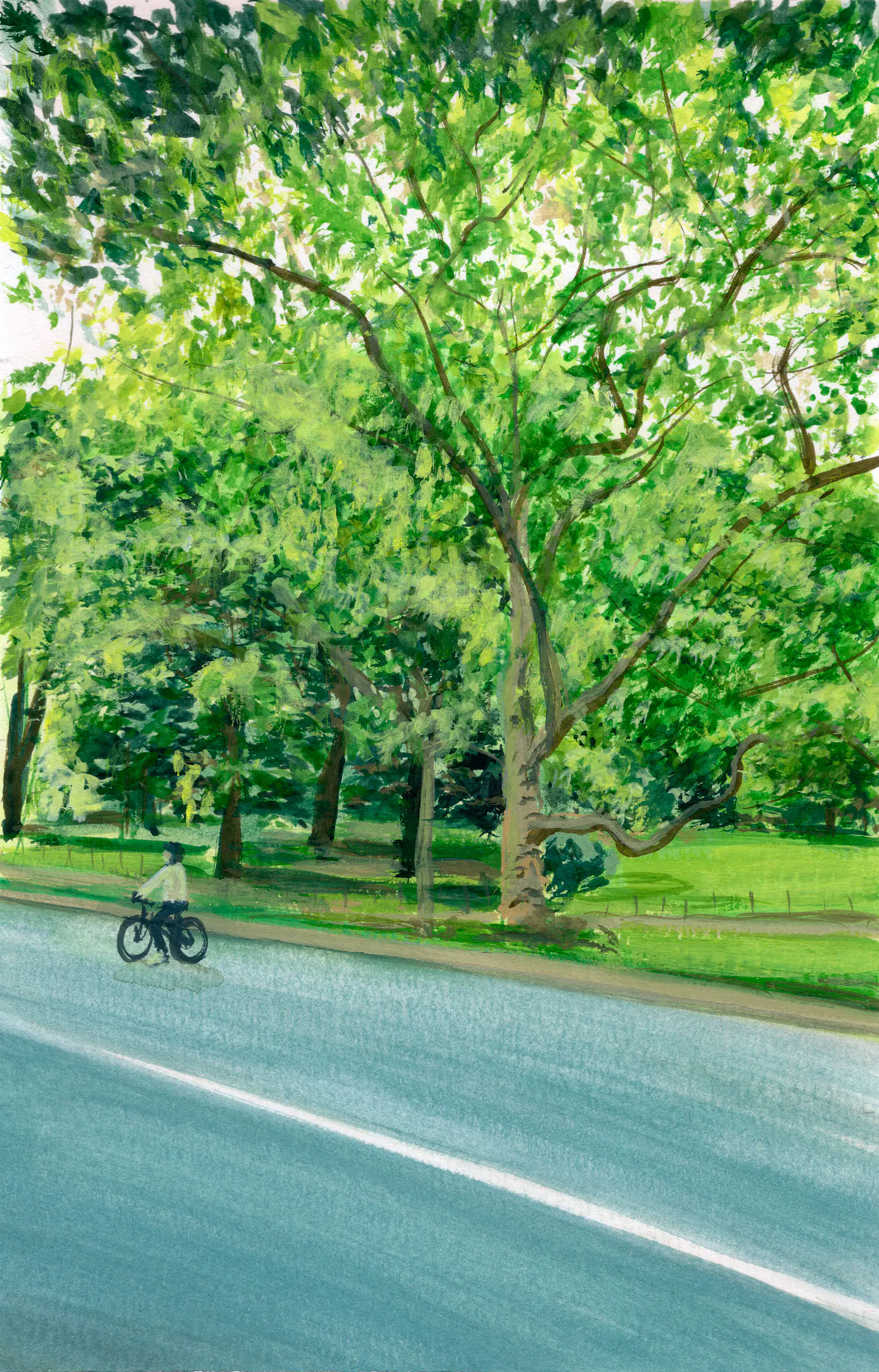 Central Park 1
