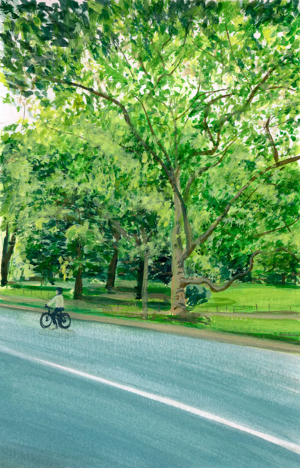 Central Park 1
