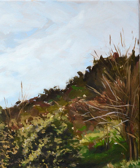 Camino al Cerro