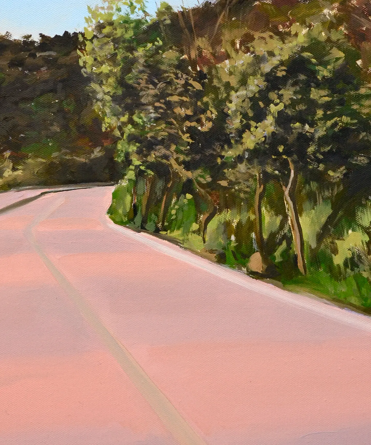 Camino al Cerro 3