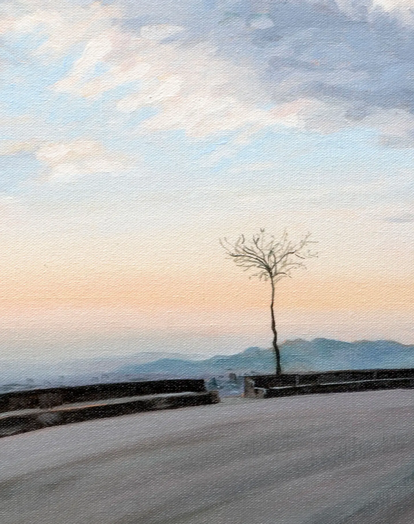 Árbol del cerro 3