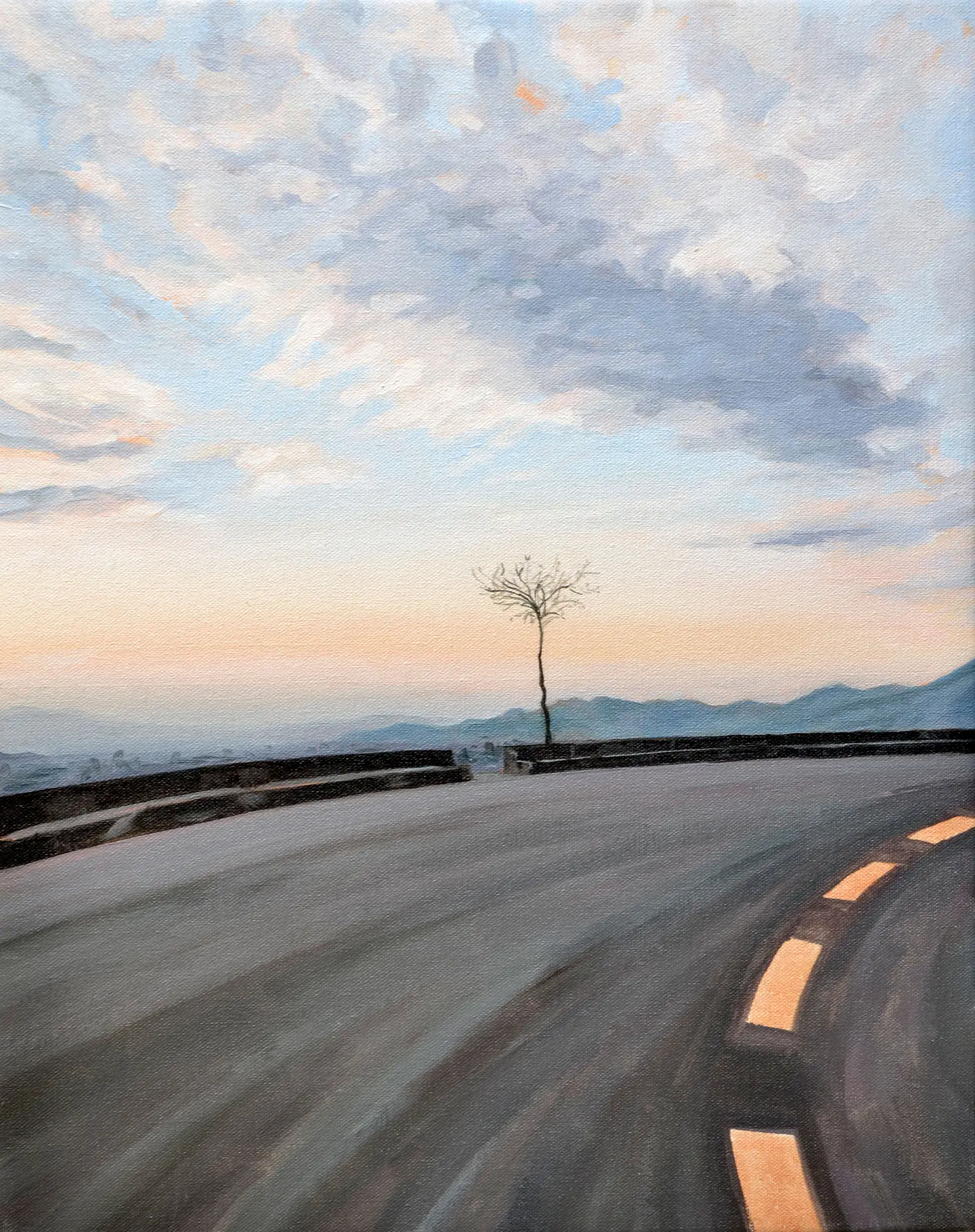 Árbol del cerro 1