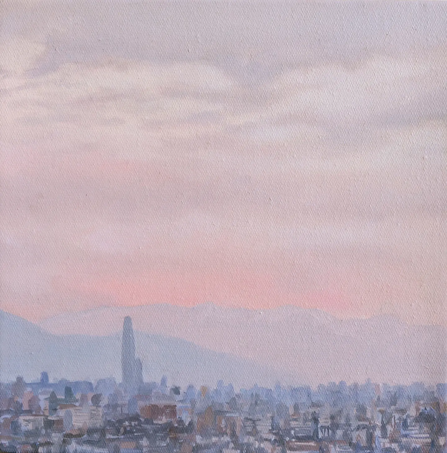Santiago gris rosa 1