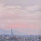 Santiago gris rosa - Miniatura 1