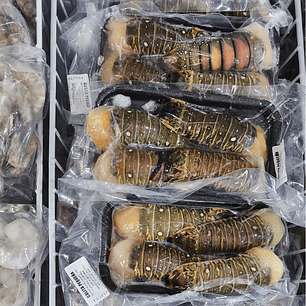 4 x BANDEJAS DE COLA PEQUEÑA (16 Unidades)