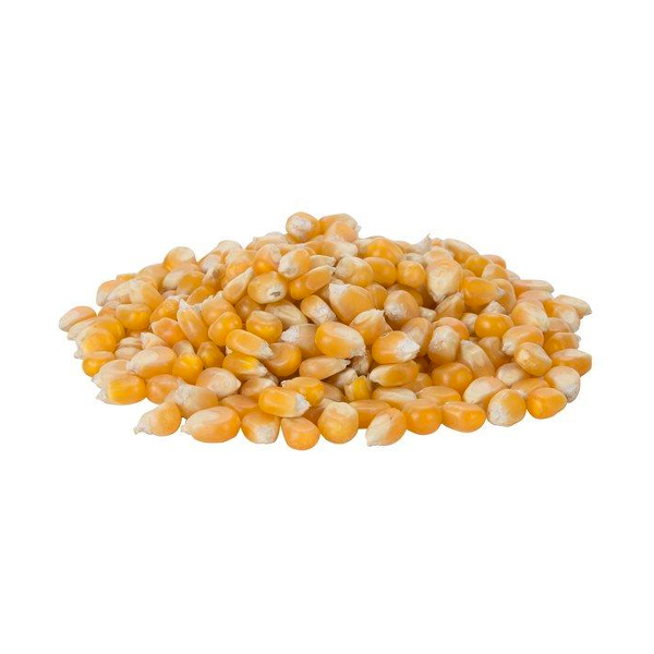 Maíz Curagua Saco 25Kgs.